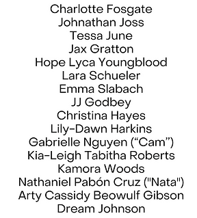 Screen Shot 2025-11-21 at 4.04.20 PM.png