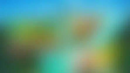 TRADUÇÃO PT-BR DO JOGO: Yoku's Island Express 🦗 🌴 🎠 🗺️