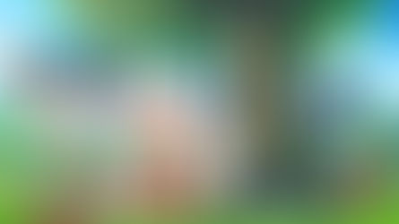 PORT DA TRADUÇÃO PT-BR DO JOGO: SPY×ANYA: Operation Memories 🕵️♂️ 👧 🎮 🕹️