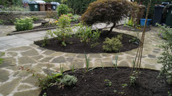 HORTUS52611