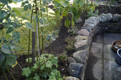 HORTUS59DSC0988