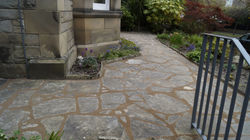 HORTUS401420