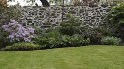 HORTUS16DSC0364
