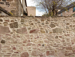 HORTUS722011