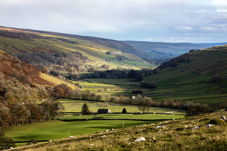 yorkshire.jpg
