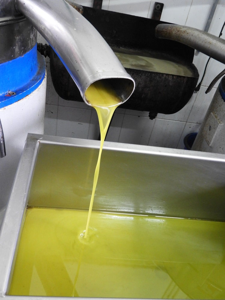 first run Olive oil.