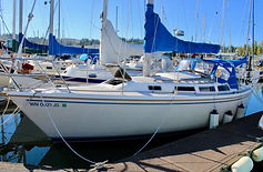 IMG_3719.jpg