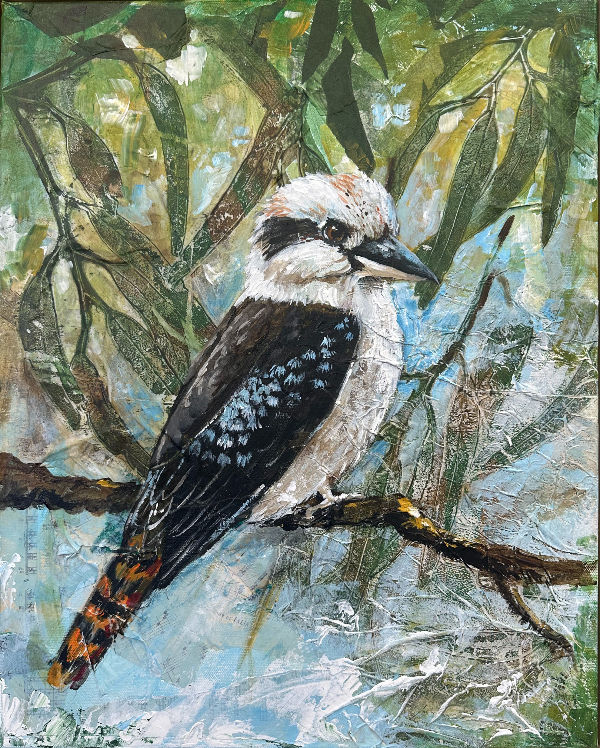 Kookaburra