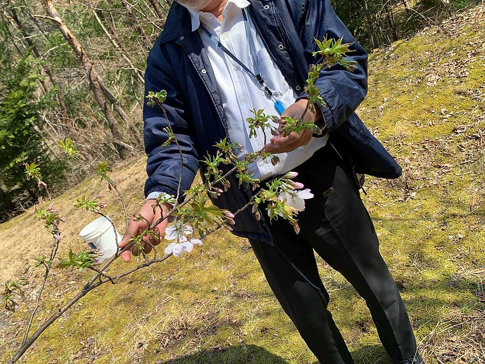 用意された花の説明