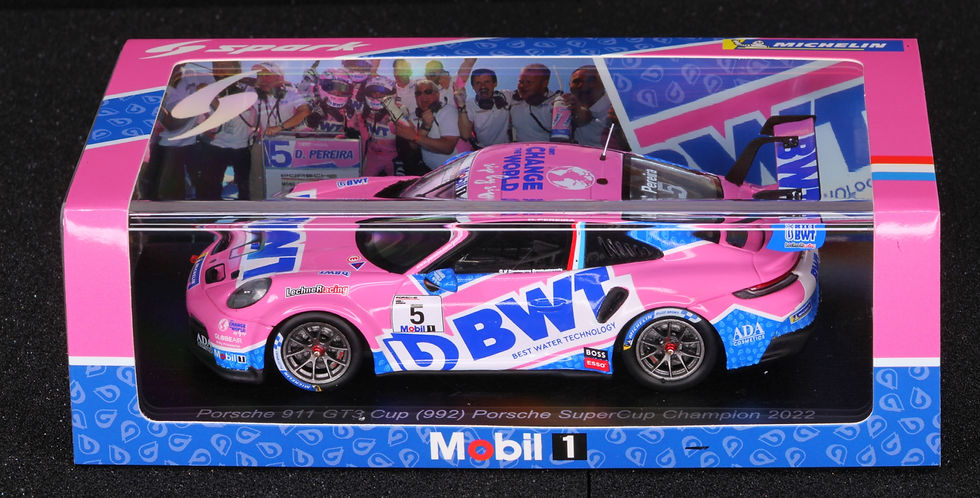 Thumbnail: SL010 Porsche 911 992 GT3 Cup BWT Lechner Racing Champion 2022 Dylan Pereira