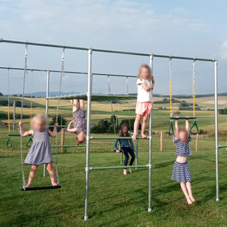 Custom Jungle monkey bars UK