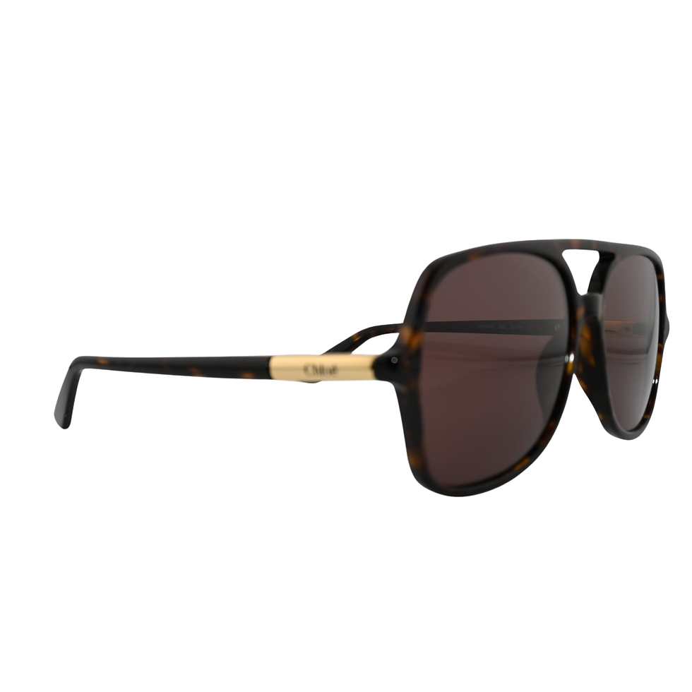 Lunettes de soleil Chloé CH0364S écaille havane foncée, verres bruns, vue de profil branche