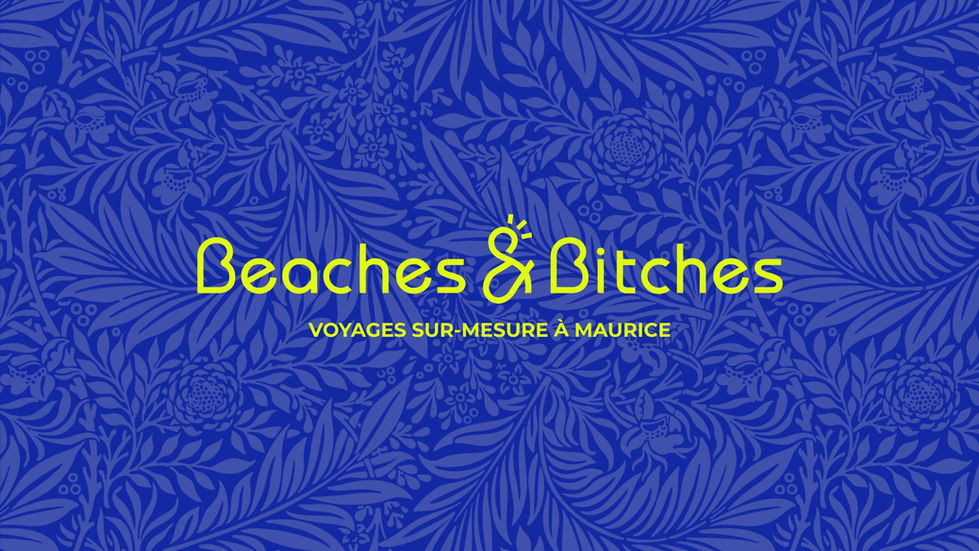 Logo Beaches & Bitches