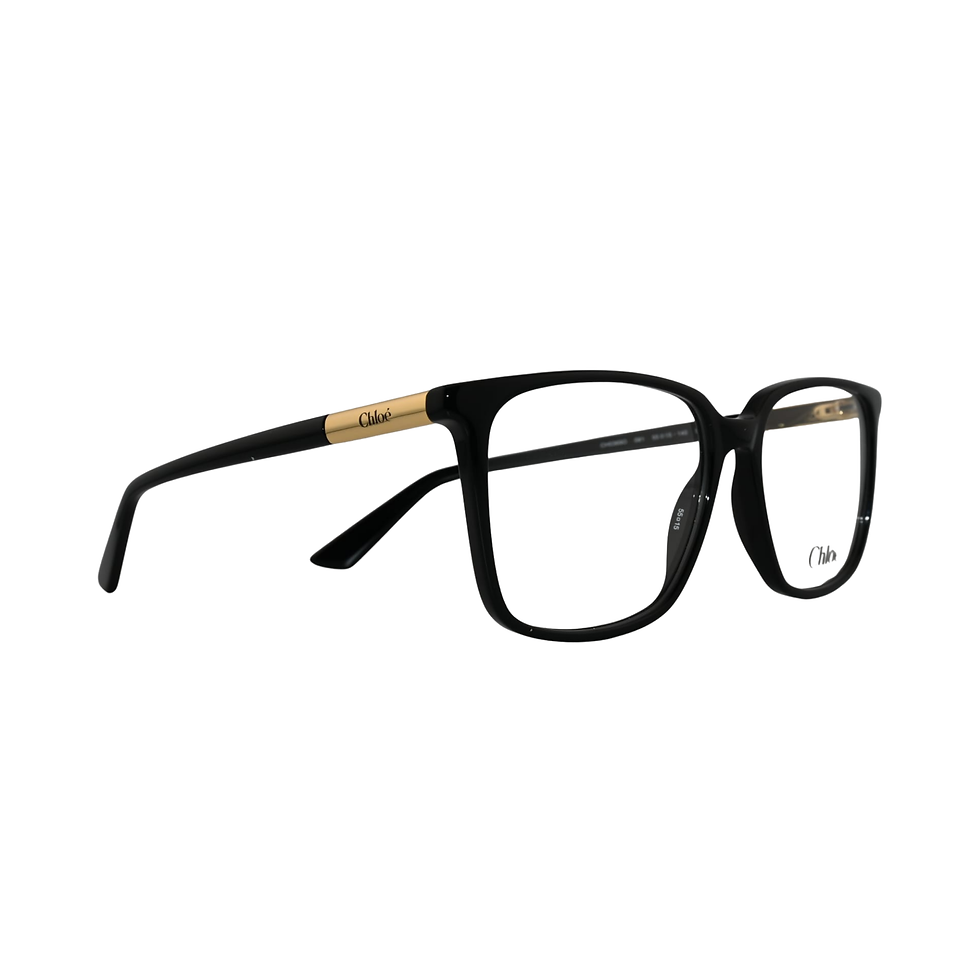 Lunettes de vue Chloé CH0369O noir, vue de profil branche