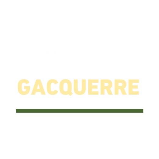 OG - IM - logo (1).png