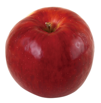 Home りんごやsuda