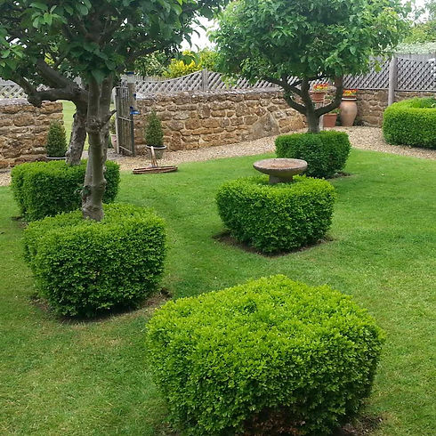 Well-manicured green garden with square boxwood hedges, small trees, and a birdbath