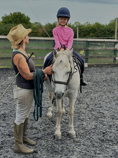 Rider guiding a horse through a structured horse breaking and schooling session
