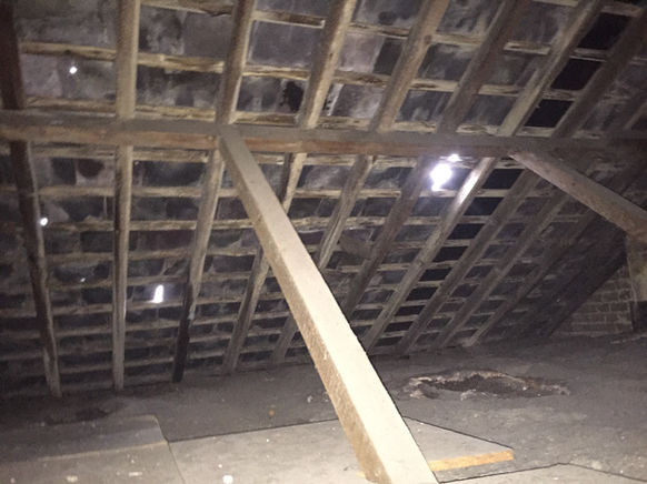Exposed timber roof structure inside a property