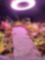 Handmade terrarium featuring a detailed gravel garden pathway