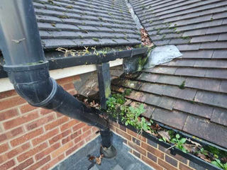 Clogged roof gutter with weeds and debris