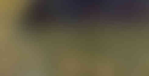 Foto: arquivo pessoal, 2025.