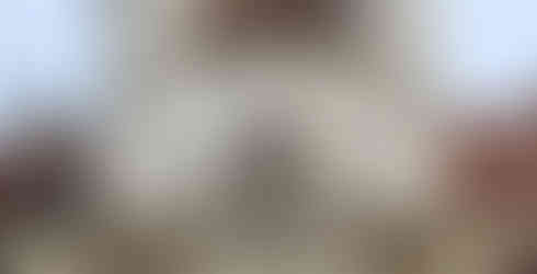 Foto: arquivo pessoal, 2025.