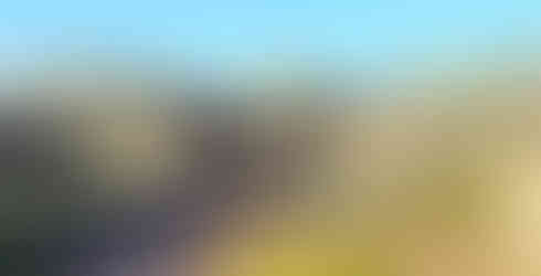 Foto: arquivo pessoal, 2025