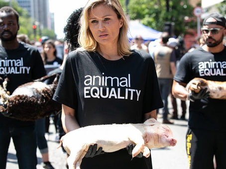 O que é veganismo? Conheça os principais caminhos sem carne.
