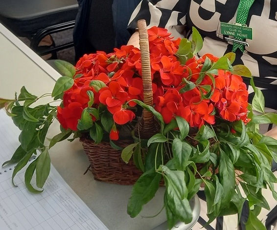 Arrangement in a basket real flowers winner entry by Helen McAleer