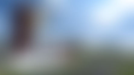 SUCIO Y MAL OLIENTE; EL ACTUAL ESTADO DEL EDIFICIO PRINCIPAL DE LA UNIDAD DEPORTIVA