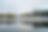 20221021-DMO_7666.jpg