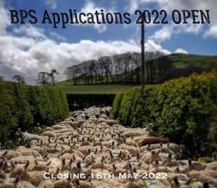 Schemes: BPS 2022 now open 