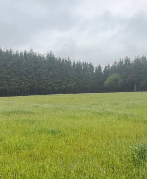 Are you getting the most from your farm’s nutrients?