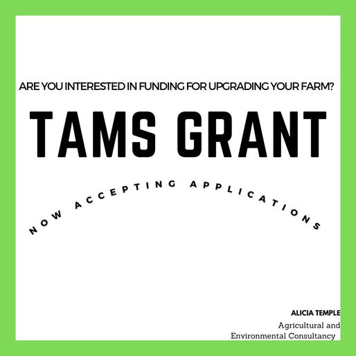 Service: TAMS applications now open