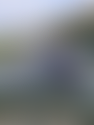 TAMS Solar Panels for Farm Sheds: How Irish Farmers Can Cut Energy Costs