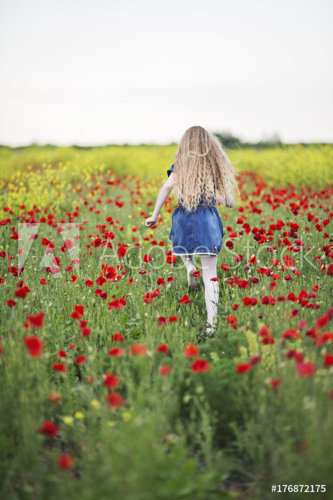AdobeStock_176872175_Preview.jpeg
