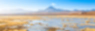 AdobeStock_292675917_edited.jpg