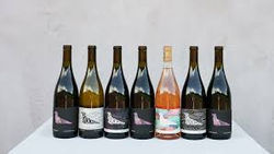 sealionne wines
