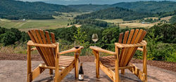 vineyards
