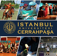 istanbul-universitesi-cerrahpasa_637937415136943880.jpg