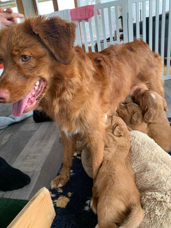 a3037c29-51a1-4890-92f5-db7bea553b8b