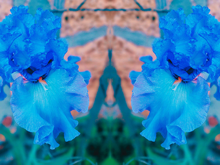 Essai poétique - L’autorisation intérieure, condition du processus créatif et thérapeutique