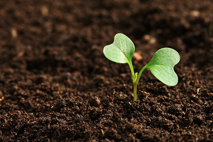Blog Émo Earth
