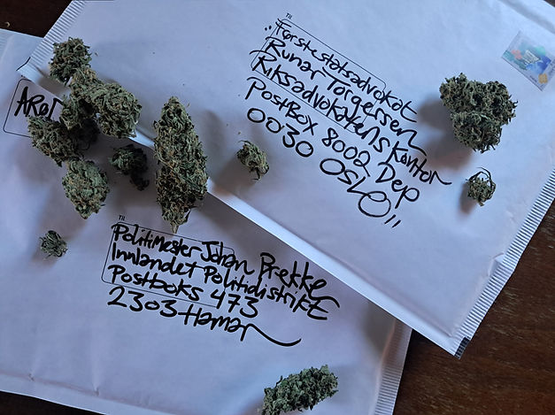 cannabis riksadvokat_edited.jpg