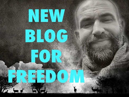 blog for freedom.jpeg