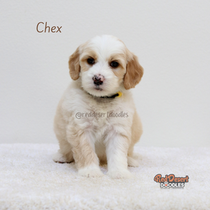 Chex.png