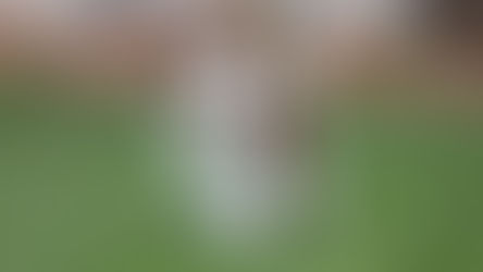 Mini Labradoodle puppy standing in the grass outside