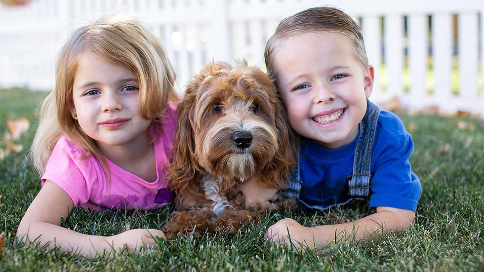 Two young kids laying in the grass with a Labradoodle between them