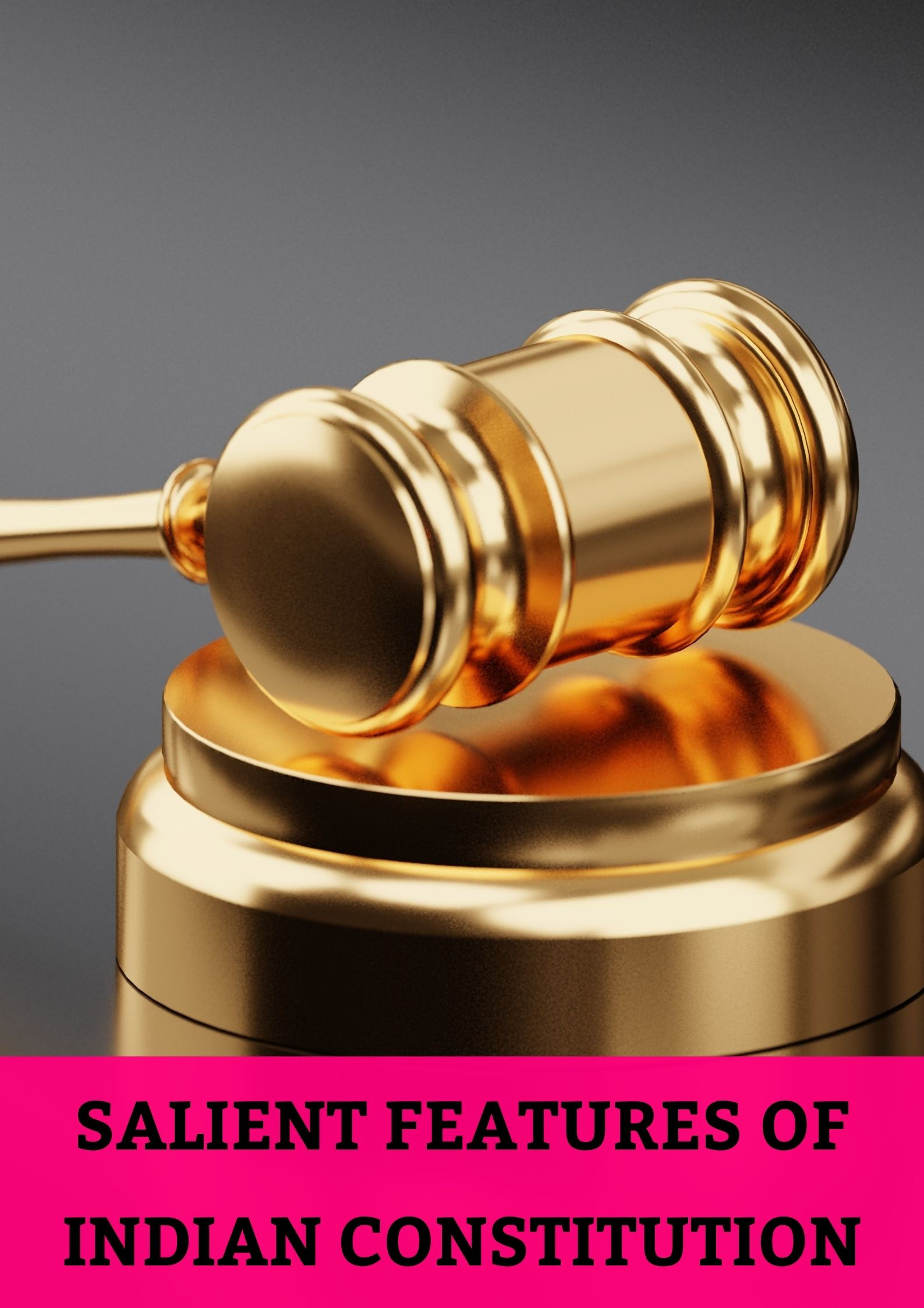 Salient Features Of Indian Constitution